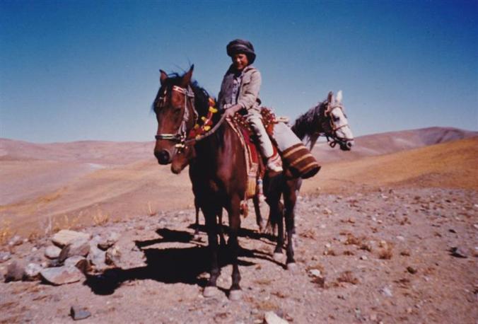 Bashir on horseback (Custom)